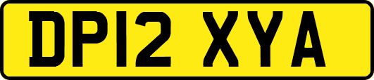DP12XYA