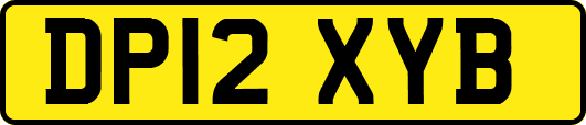DP12XYB
