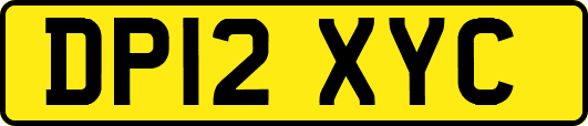 DP12XYC