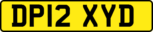 DP12XYD