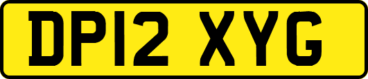 DP12XYG