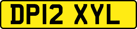 DP12XYL