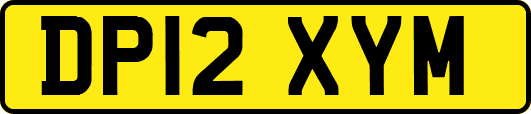 DP12XYM