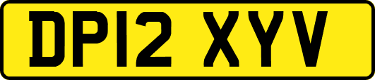 DP12XYV