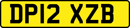 DP12XZB