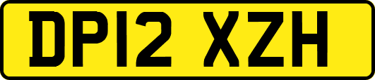 DP12XZH
