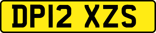 DP12XZS