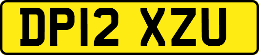 DP12XZU