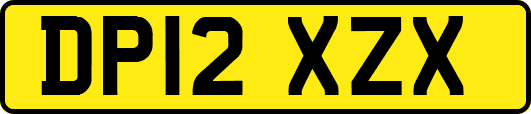 DP12XZX