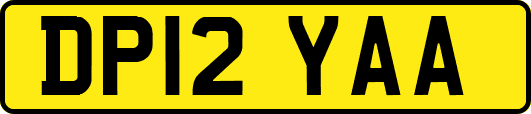 DP12YAA