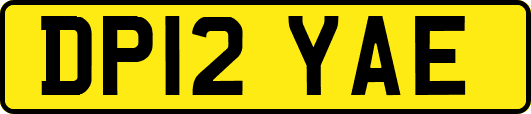 DP12YAE