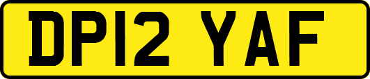 DP12YAF