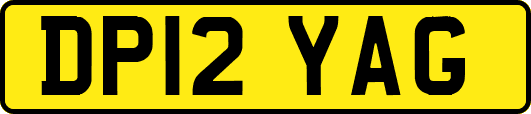 DP12YAG