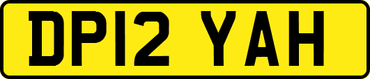 DP12YAH