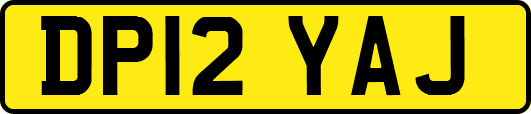 DP12YAJ