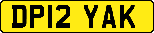 DP12YAK