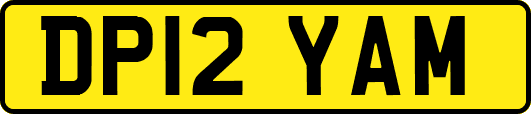 DP12YAM