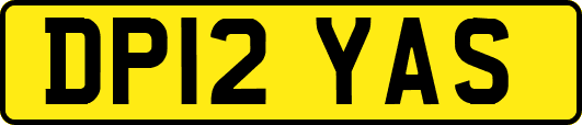 DP12YAS