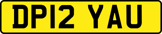 DP12YAU