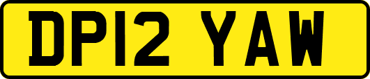 DP12YAW