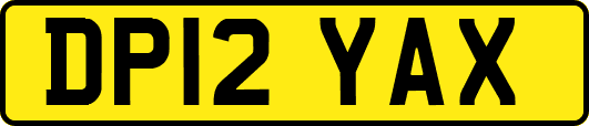 DP12YAX