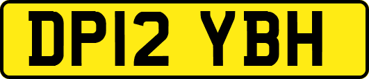 DP12YBH