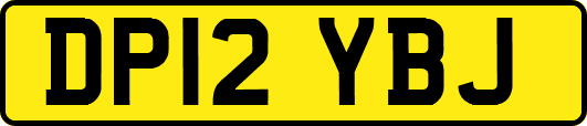 DP12YBJ
