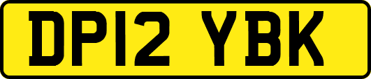 DP12YBK