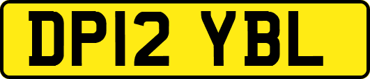 DP12YBL