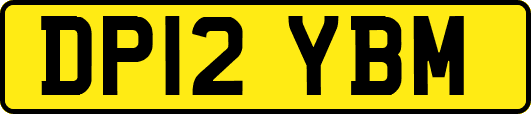 DP12YBM