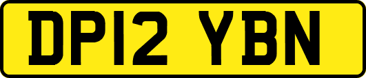 DP12YBN