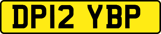 DP12YBP