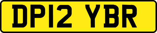 DP12YBR