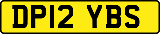 DP12YBS