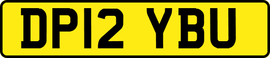 DP12YBU