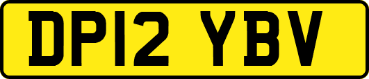 DP12YBV