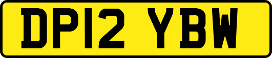 DP12YBW