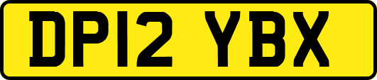 DP12YBX