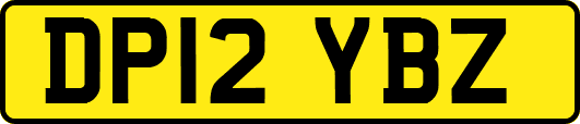 DP12YBZ