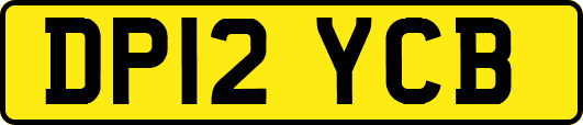DP12YCB