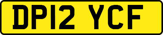 DP12YCF