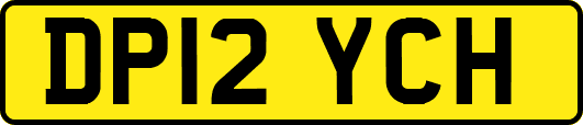 DP12YCH