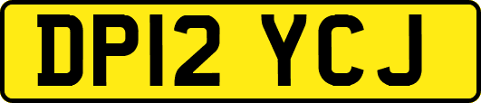 DP12YCJ