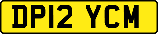 DP12YCM