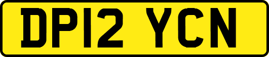 DP12YCN
