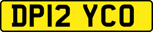 DP12YCO