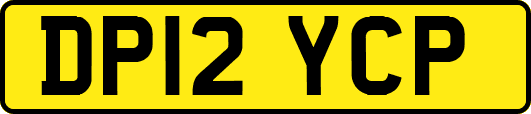 DP12YCP