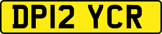 DP12YCR