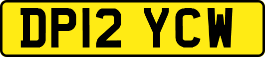 DP12YCW