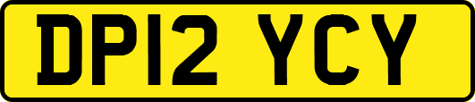 DP12YCY